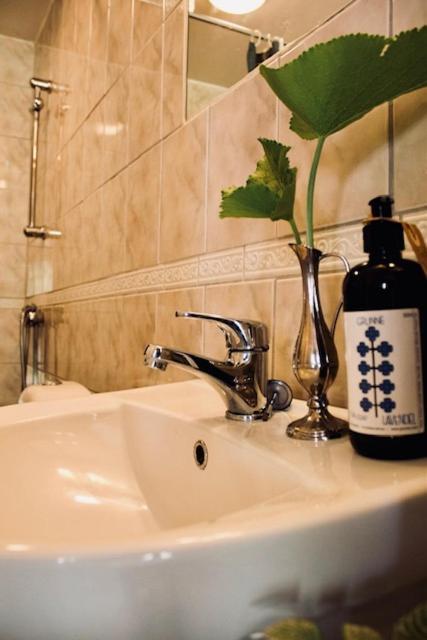 Villa Sol B&B And Hostel 보리홀름 외부 사진