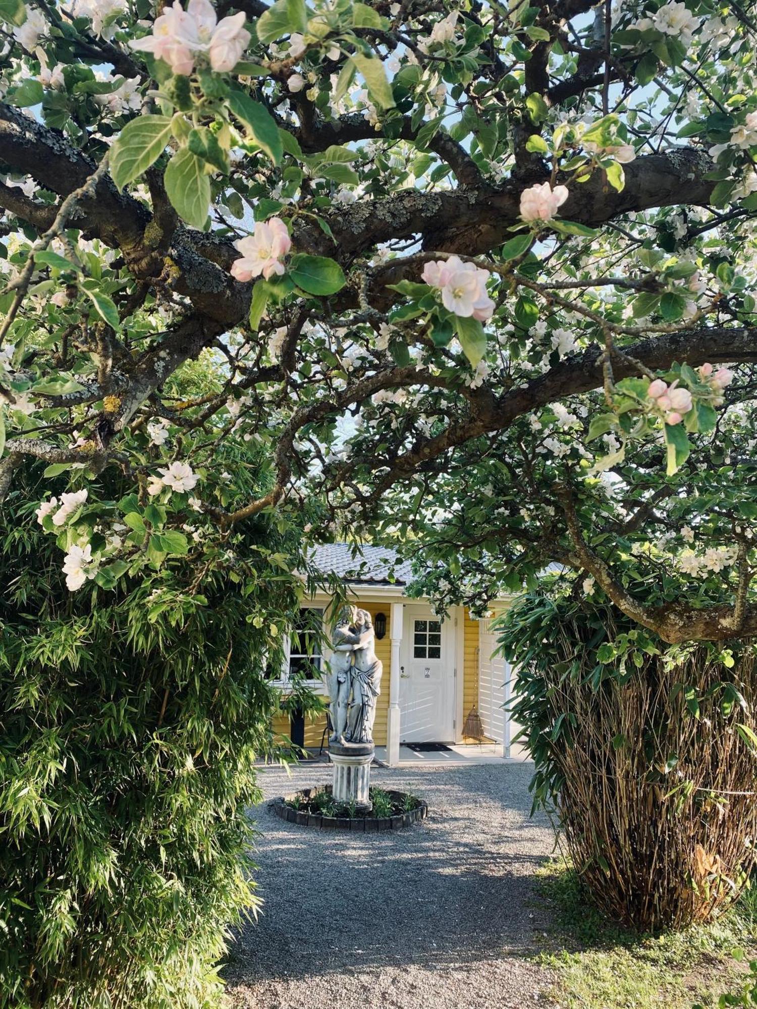 Villa Sol B&B And Hostel 보리홀름 외부 사진